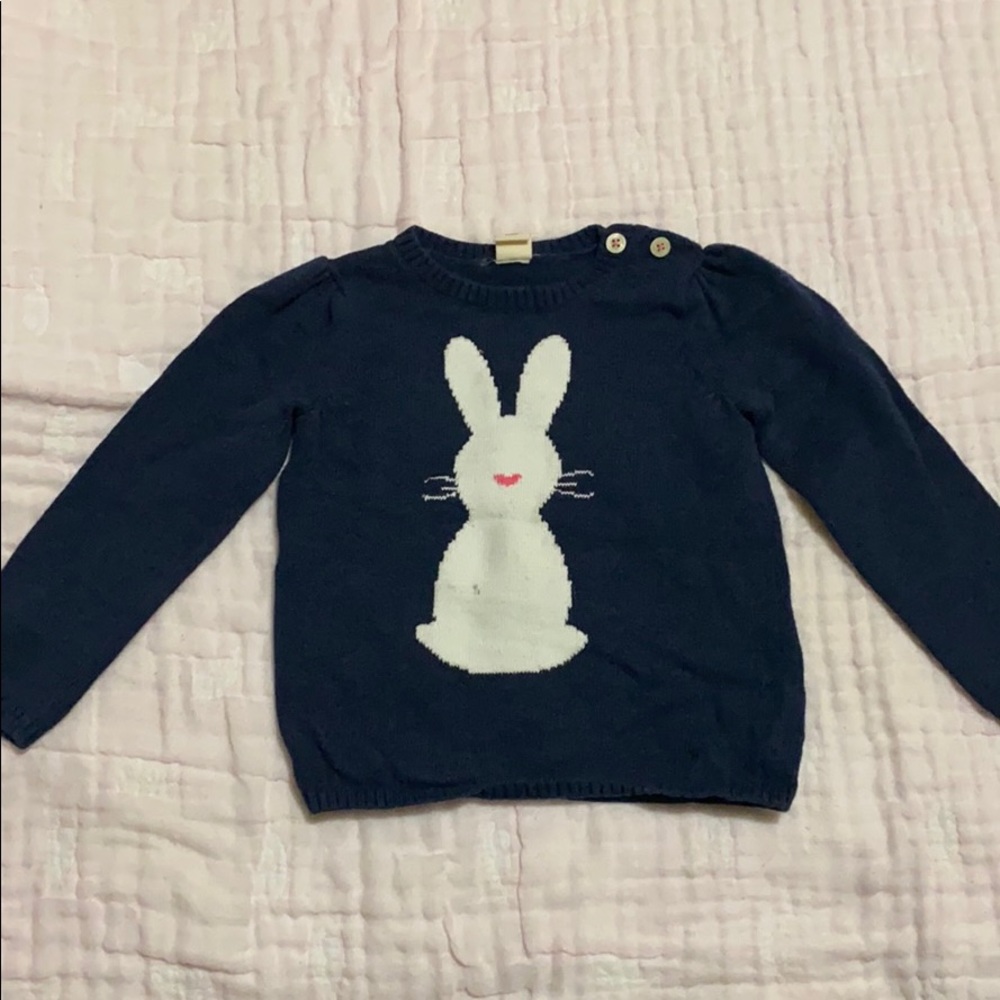 Tucker tate bunny sweater size 2T, runs big